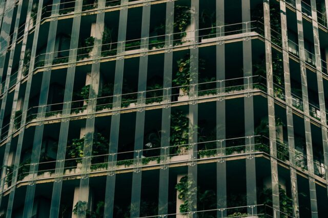 Case pasive: ce presupune standardul Passivhaus și merită investiția suplimentară?